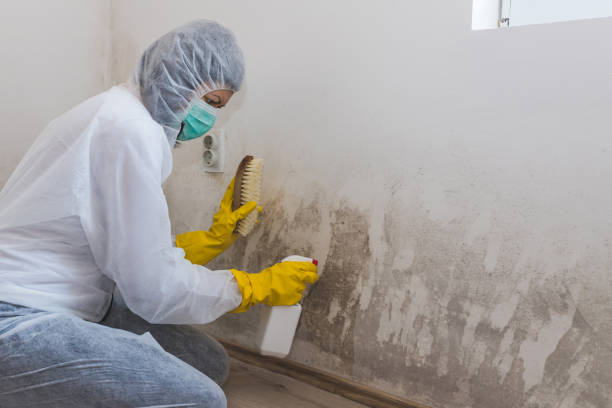 Best Residential Mold Inspection & Testing  in Sheridan, OR