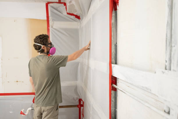 Best Mold Documentation for Insurance Claims  in Sheridan, OR