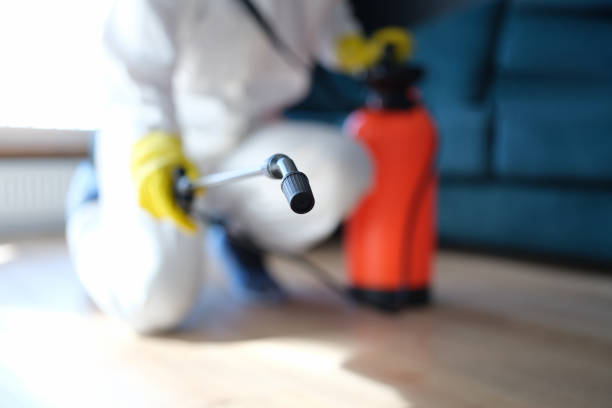 Best Dehumidification Services  in Sheridan, OR