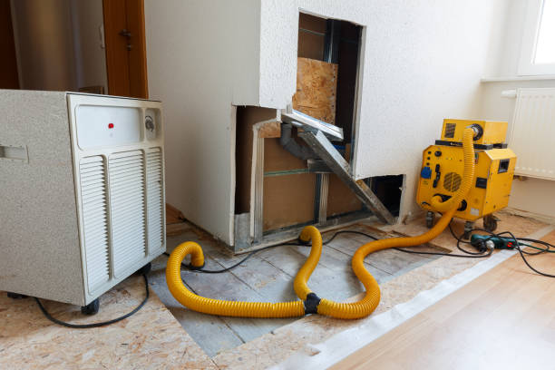 Best HVAC Mold Inspection and Cleaning  in Sheridan, OR