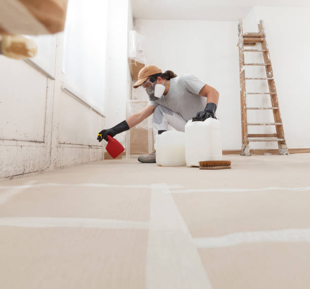 Best Comprehensive Air Testing for Mold Contaminants  in Sheridan, OR